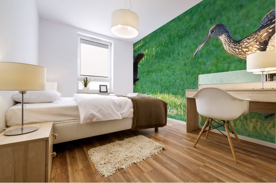 IMG 2112Limpkins Mural print