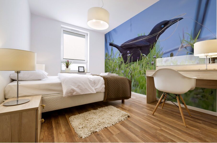IMG 4887Grackle Mural print