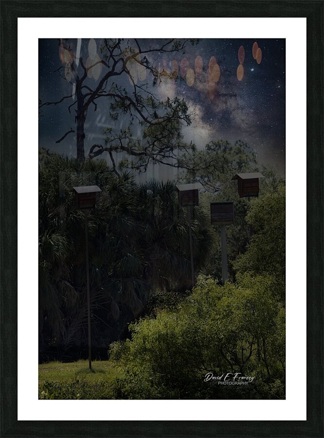 IMG 2542BatHouses Picture Frame print