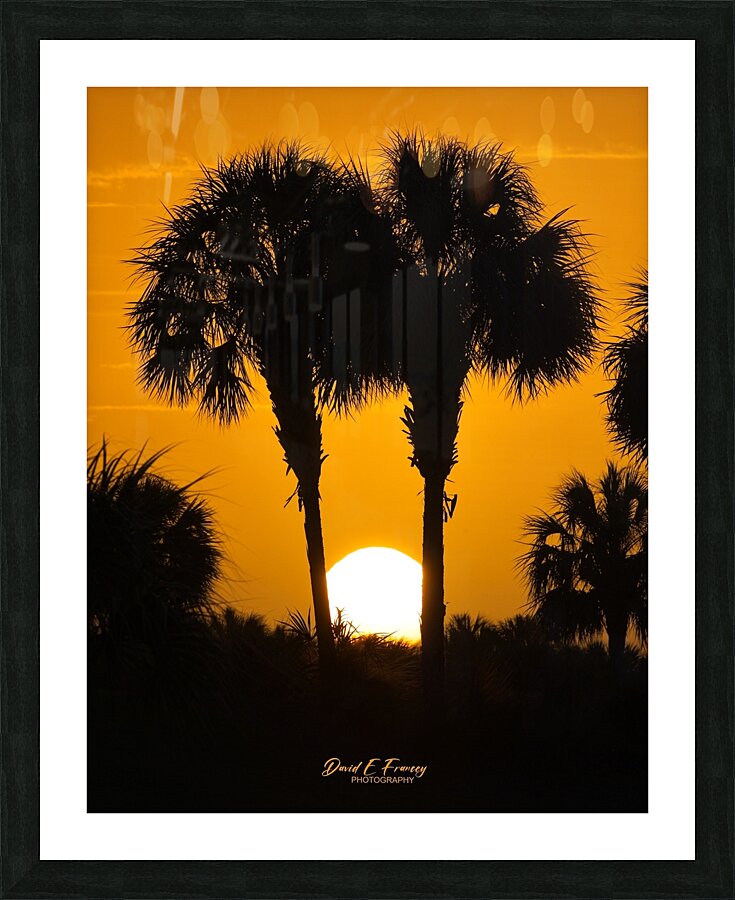 IMG 4425Sunset Picture Frame print