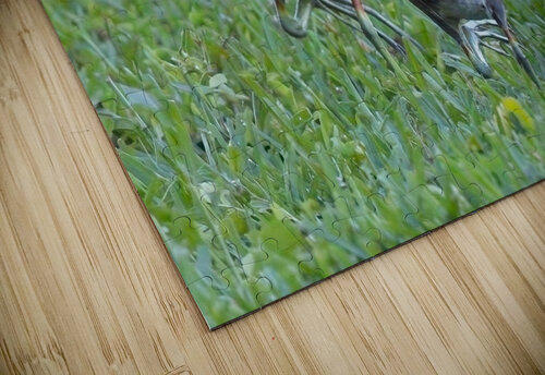 IMG 2011 David E Francey Photography puzzle