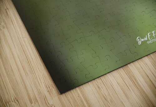 IMG 2850 David E Francey Photography puzzle