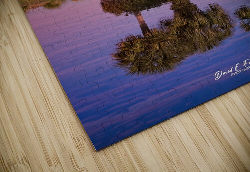 IMG 4932PalmReflections David E Francey Photography puzzle