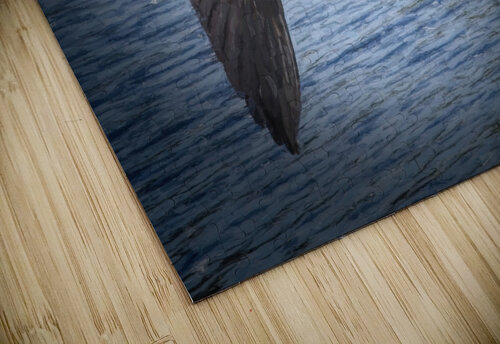 HeronInFlight Edit2 David E Francey Photography puzzle