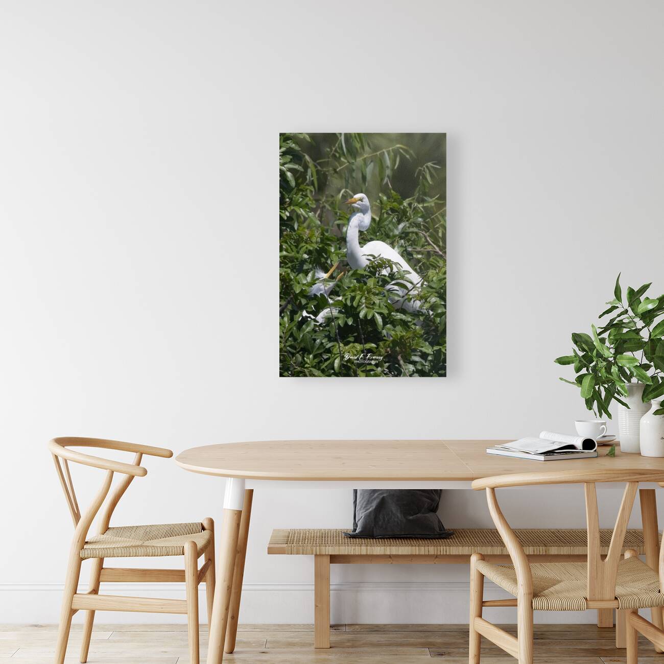 IMG 2453WhiteHeronAndChicks24x30 Reproduction