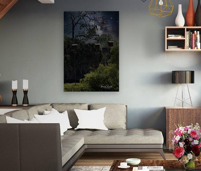 IMG 2542BatHouses Reproduction