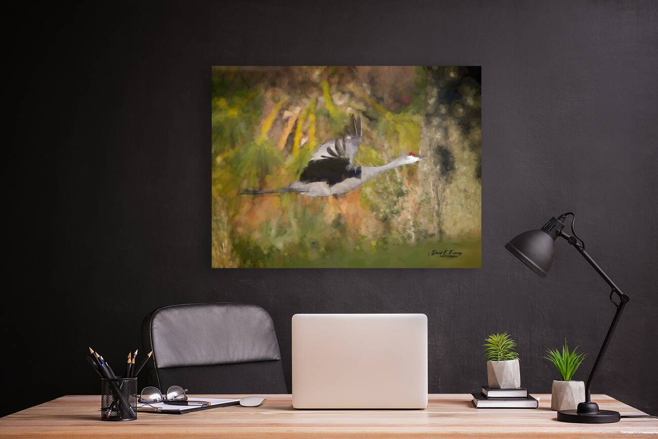 SandhillCrane2 Edit Reproduction