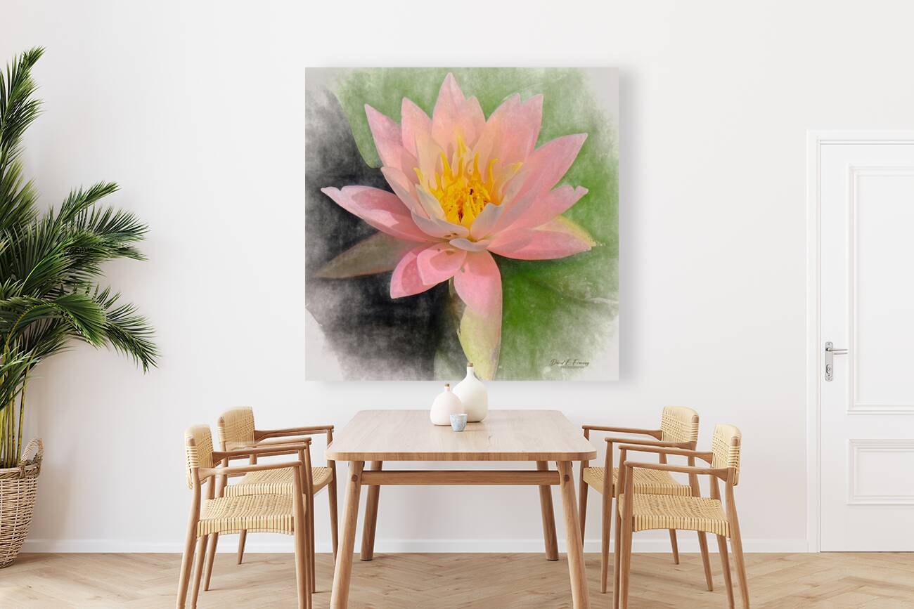 WaterLily   Copy Reproduction