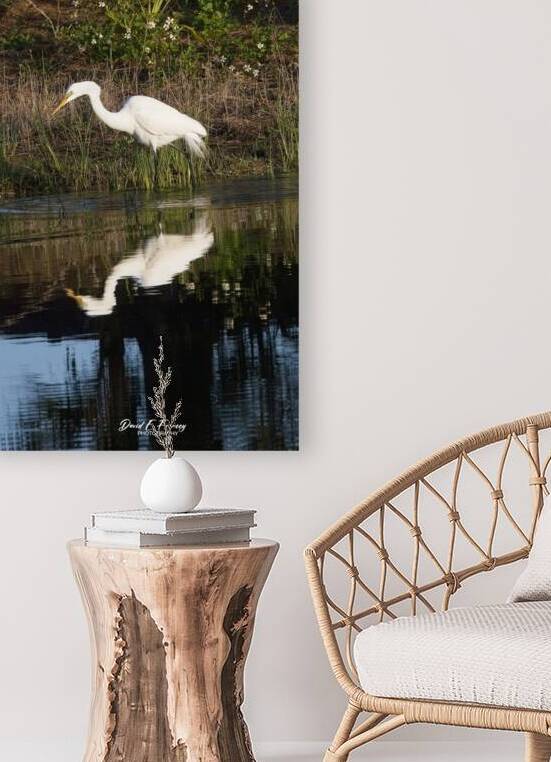 IMG 1953WhiteHeronReflections by David E Francey Photography