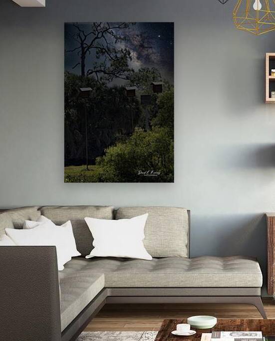 IMG 2542BatHouses by David E Francey Photography