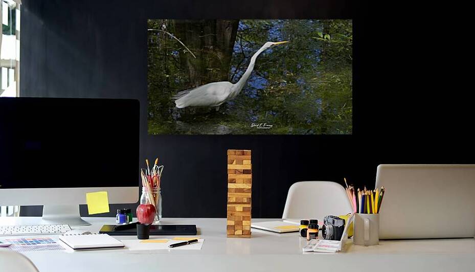 IMG 2789WhiteHeron by David E Francey Photography