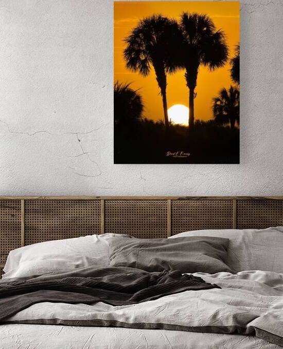 IMG 4425Sunset by David E Francey Photography