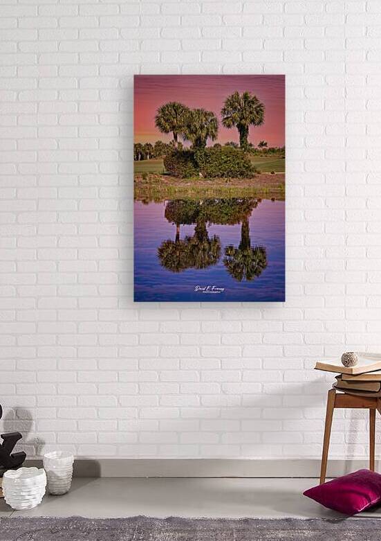 IMG 4932PalmReflections by David E Francey Photography