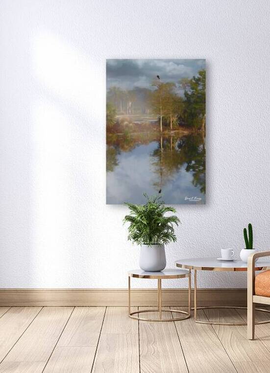 OspreyReflections Edit by David E Francey Photography