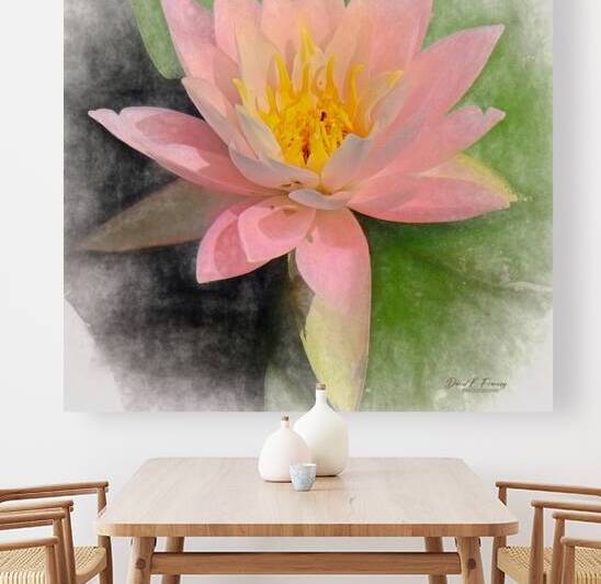 WaterLily   Copy by David E Francey Photography