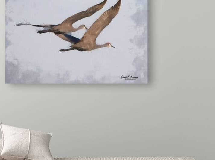 SandhillCrane1 EditPainted by David E Francey Photography