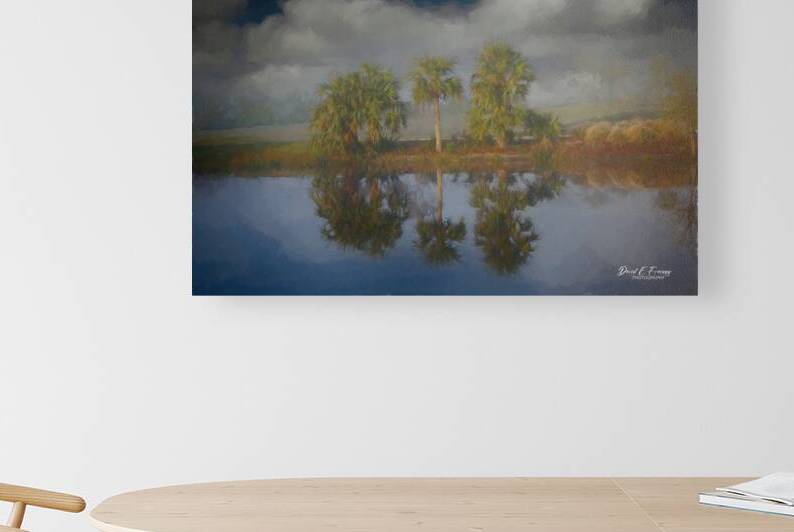 ThreeTrees copy Edit by David E Francey Photography
