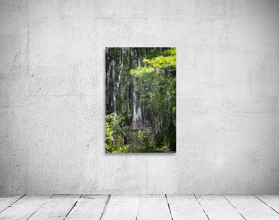 IMG 2893Swamp Wall Preview