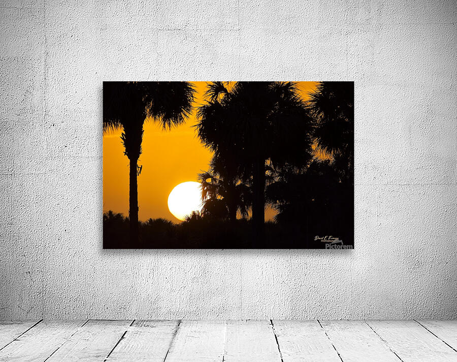 IMG 4400Sunset Wall Preview