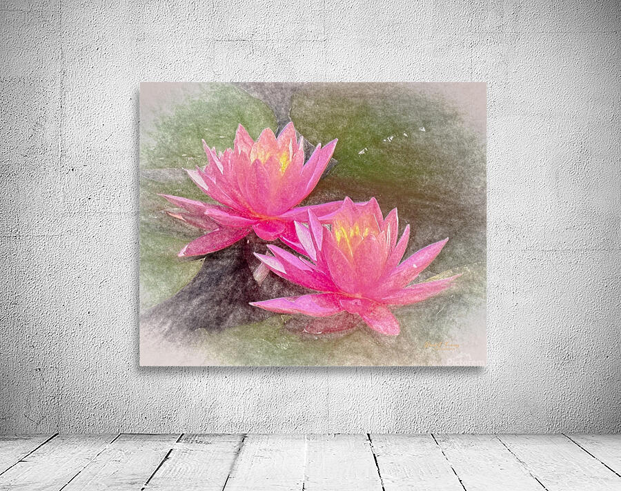 WaterLily2 Wall Preview