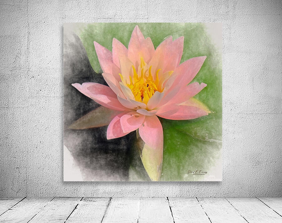 WaterLily   Copy Wall Preview