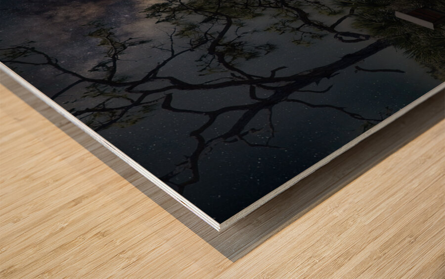 IMG 2542BatHouses Wood print