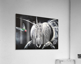 A Fly Acrylic Print