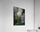 Woman Acrylic Print