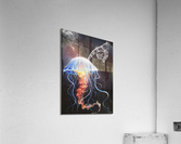 A Jellyfish Acrylic Print