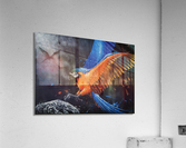 A Parot Acrylic Print