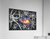 Neurons Acrylic Print