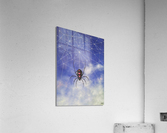 Net Acrylic Print