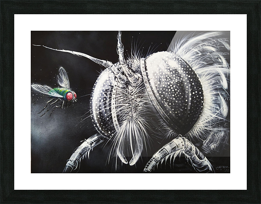 A Fly Picture Frame print