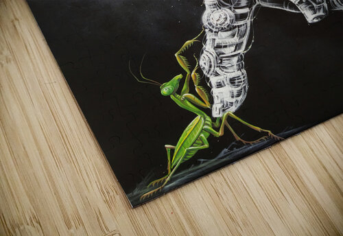 A Mantis Tayyar Ozkan puzzle