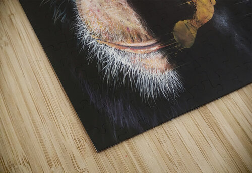 A Monkey Tayyar Ozkan puzzle