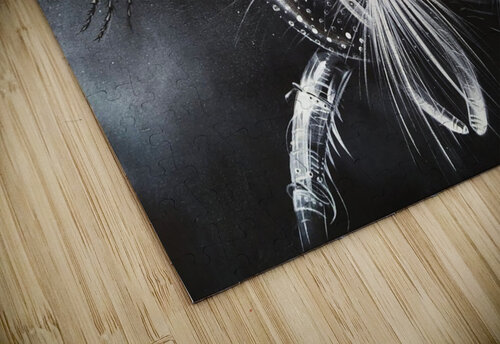 A Fly Tayyar Ozkan puzzle