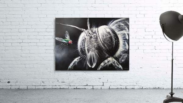 A Fly Wall Preview
