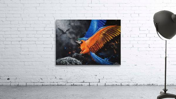 A Parot Wall Preview