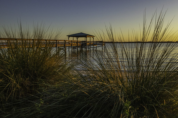 Through the blades Digital Download