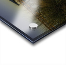 Through the blades Acrylic print