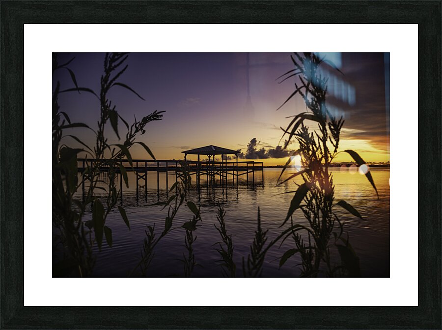 Weeds Picture Frame print