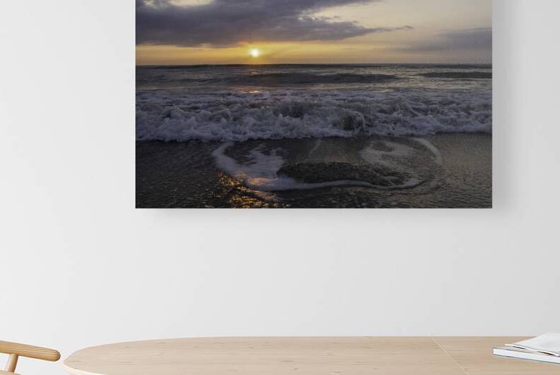Moody rise Reproduction