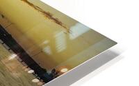 Early birds HD Metal print