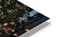 Through the Groves HD Metal print