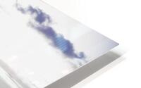 Windy Palm HD Metal print