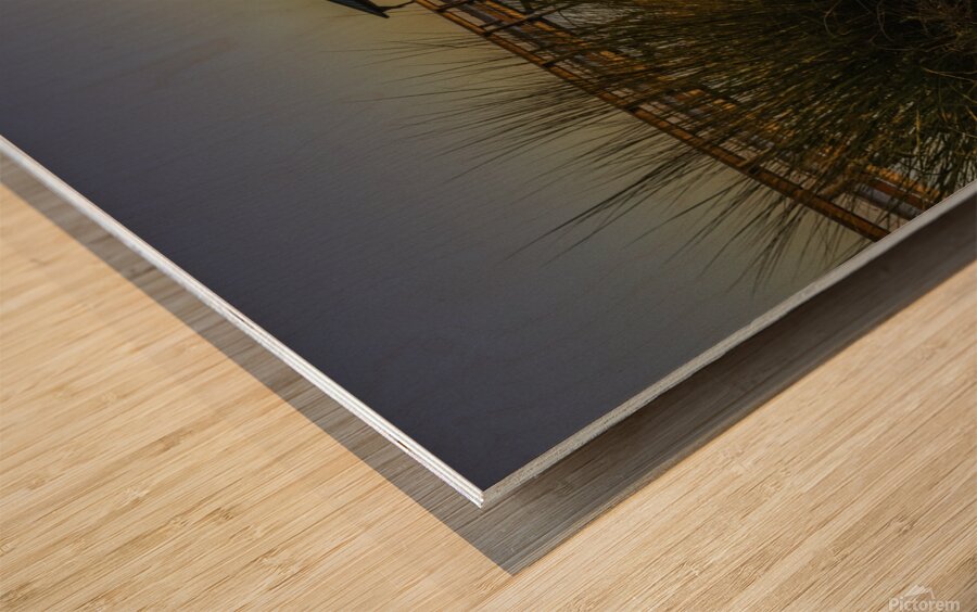 Through the blades Wood print