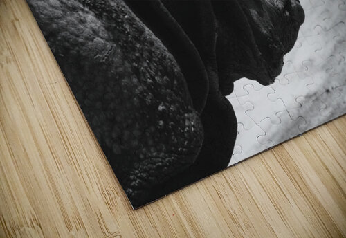 Gentle Goliath Nicholas Vosburg puzzle