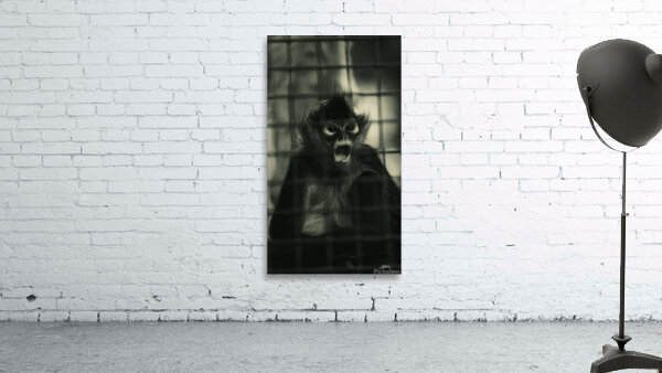 Entangled Expressions Wall Preview