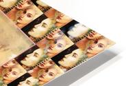 Princess  HD Metal print