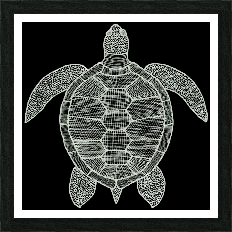 Turtle - white Picture Frame print